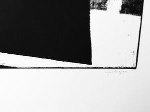 JCJ Vanderheyden - zeefdruk - Zwart op Monitor kopen? Bied vanaf 260!