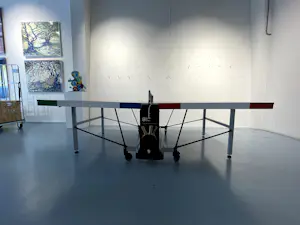 Ropp Schouten - Tafeltennistafel met design van Ropp Schouten kopen? Bied vanaf 350!