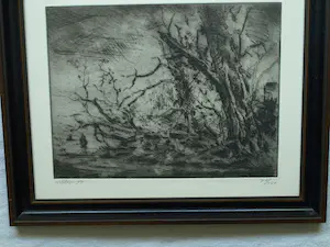 Wim Steijn - Ingelijste ets , Bos bij Haarlem – 1974 – Lijst, 37½ x 45½ cm. kopen? Bied vanaf 60!