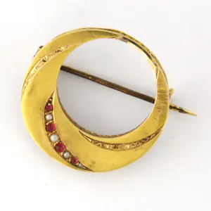 14k gouden broche bezet met robijn en parel kopen? Bied vanaf 190!