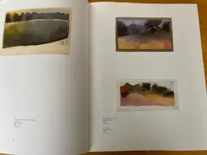 Siemen Dijkstra - Eigen druk kopen? Bied vanaf 45!