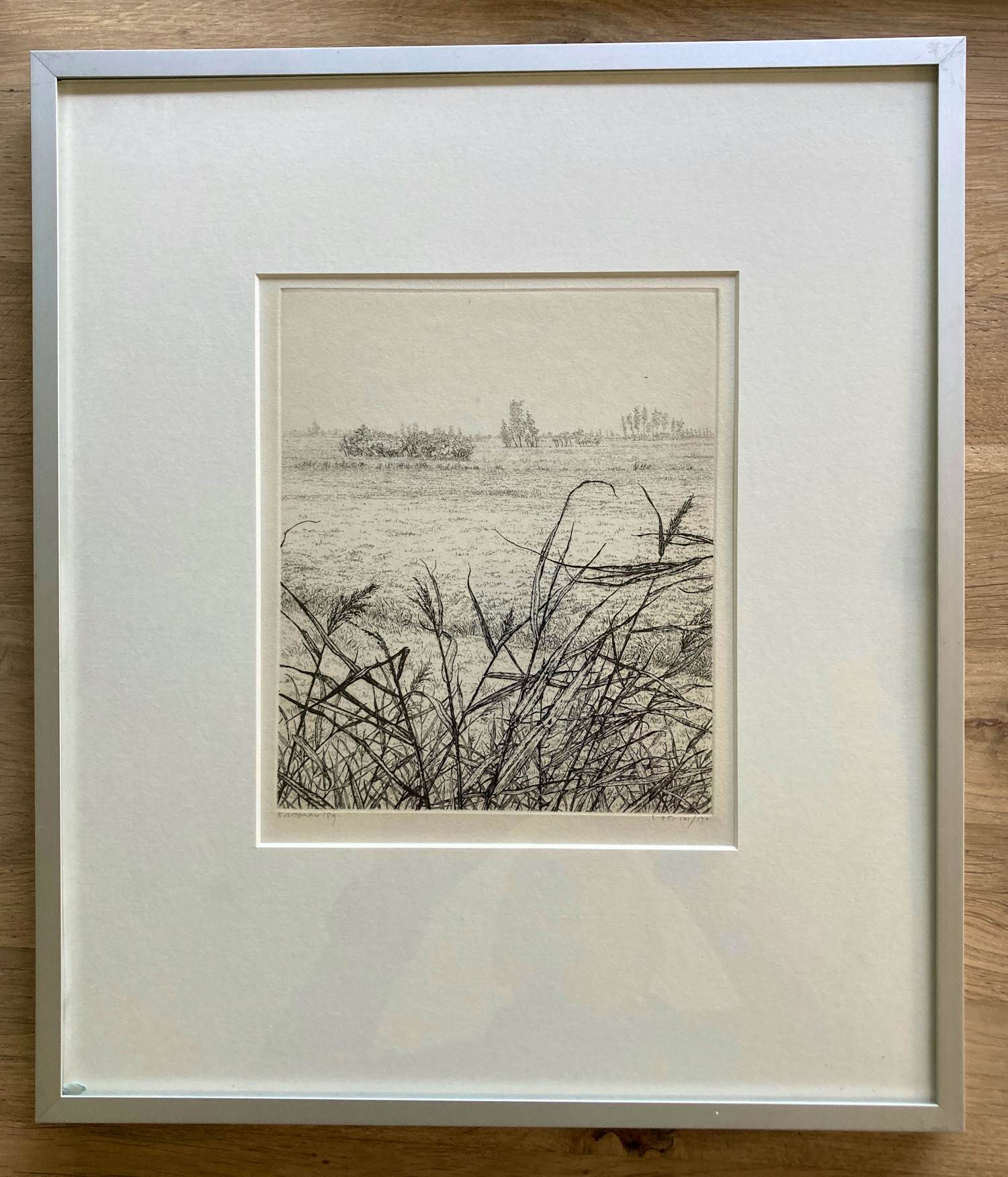 Reinder Homan - Ets, Landschap met riet in de polder ‘89 kopen? Bied vanaf 50!