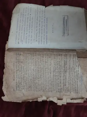 Antiquarisch Boek - De leeuw van Vlaanderen kopen? Bied vanaf 30!