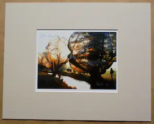 Christo - Project Wrapped Trees, Riehen , Zwitserland 1997-98 -artcard handgesigneerd kopen? Bied vanaf 55!