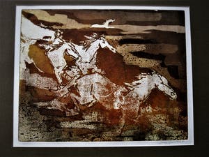 Niet of onleesbaar gesigneerd - gesigneerde, in zeer kleine oplage gemaakte Litho "Wilde Paarden" kopen? Bied vanaf 1!