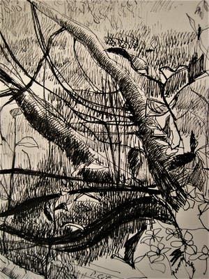 Paul Citroen - 3 vooroorlogse figuratieve Sepia tekeningen (bos)landschappen kopen? Bied vanaf 20!