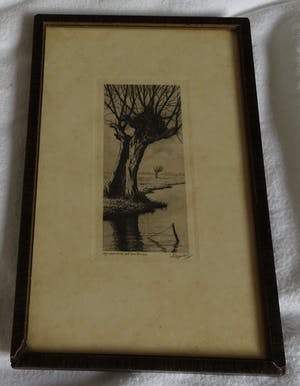 Dirk Harting - Knotwilg aan het water kopen? Bied vanaf 30!