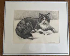 Ella van Schaik - Poes ! kopen? Bied vanaf 1!