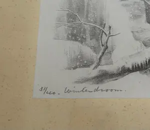 Aart van Dobbenburgh - Winterdroom kopen? Bied vanaf 49!