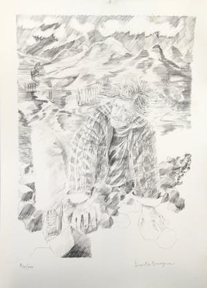 Dees De Bruyne - MISTRAL 3 LITHOS kopen? Bied vanaf 45!