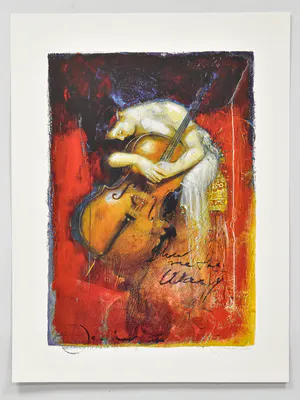 Hans Jochum Bakker - Cello kopen? Bied vanaf 25!