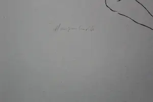 Harry van Kuyk - Zeefdruk: naakt - 1996 kopen? Bied vanaf 150!