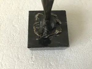 Corry Ammerlaan - De gekroonde man. kopen? Bied vanaf 1!