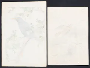 Imao Keinen - Twee Japanse prenten van vogels kaufen? Bieten Sie von 90!