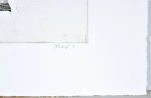 Roger Wittevrongel - Torso - Ets - Gesigneerd - 37x53 cm - 1979 kopen? Bied vanaf 120!