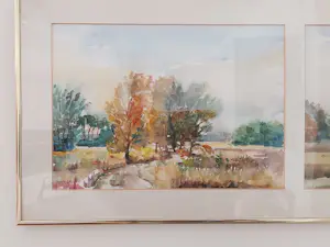 Jo Diks - Omgeving 't gooi kopen? Bied vanaf 100!