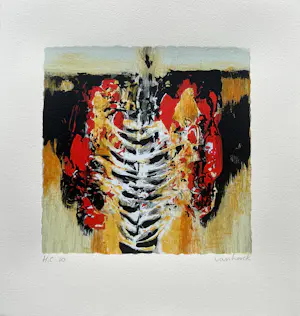 Hans Vanhorck - Lot van 2 zeefdrukken kopen? Bied vanaf 33!