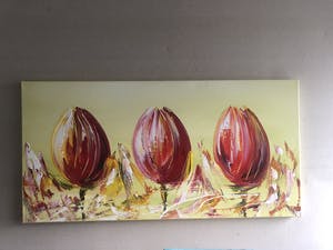 Gena - Tulpen kopen? Bied vanaf 200!