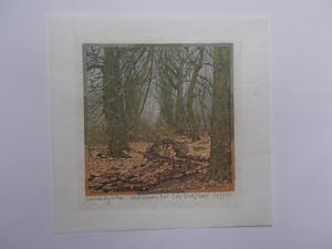 Siemen Dijkstra - Het groenen bos - Houtsnede 2001 kopen? Bied vanaf 190!