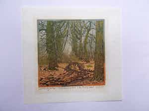 Siemen Dijkstra - Het groenen bos - Houtsnede 2001 verkocht voor € 190!