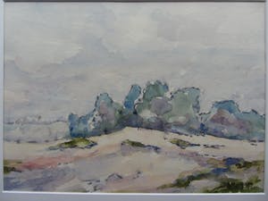 Jan Bom - Aquarel - landschap Hoge Veluwe kopen? Bied vanaf 55!