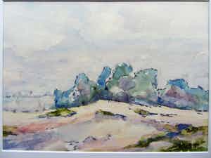 Jan Bom - Aquarel - landschap Hoge Veluwe verkocht voor € 55!