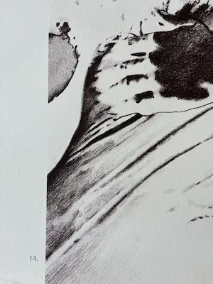 Pol Mara - Gesigneerde zeefdruk / EA kopen? Bied vanaf 85!