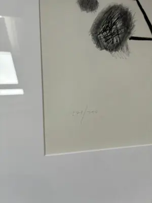 Roger Raveel - Litho kopen? Bied vanaf 520!