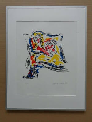 Theo Wolvecamp - THE FLAG / KLEURZEEFDRUK / 66x51cm / KADER / 1992 kopen? Bied vanaf 95!
