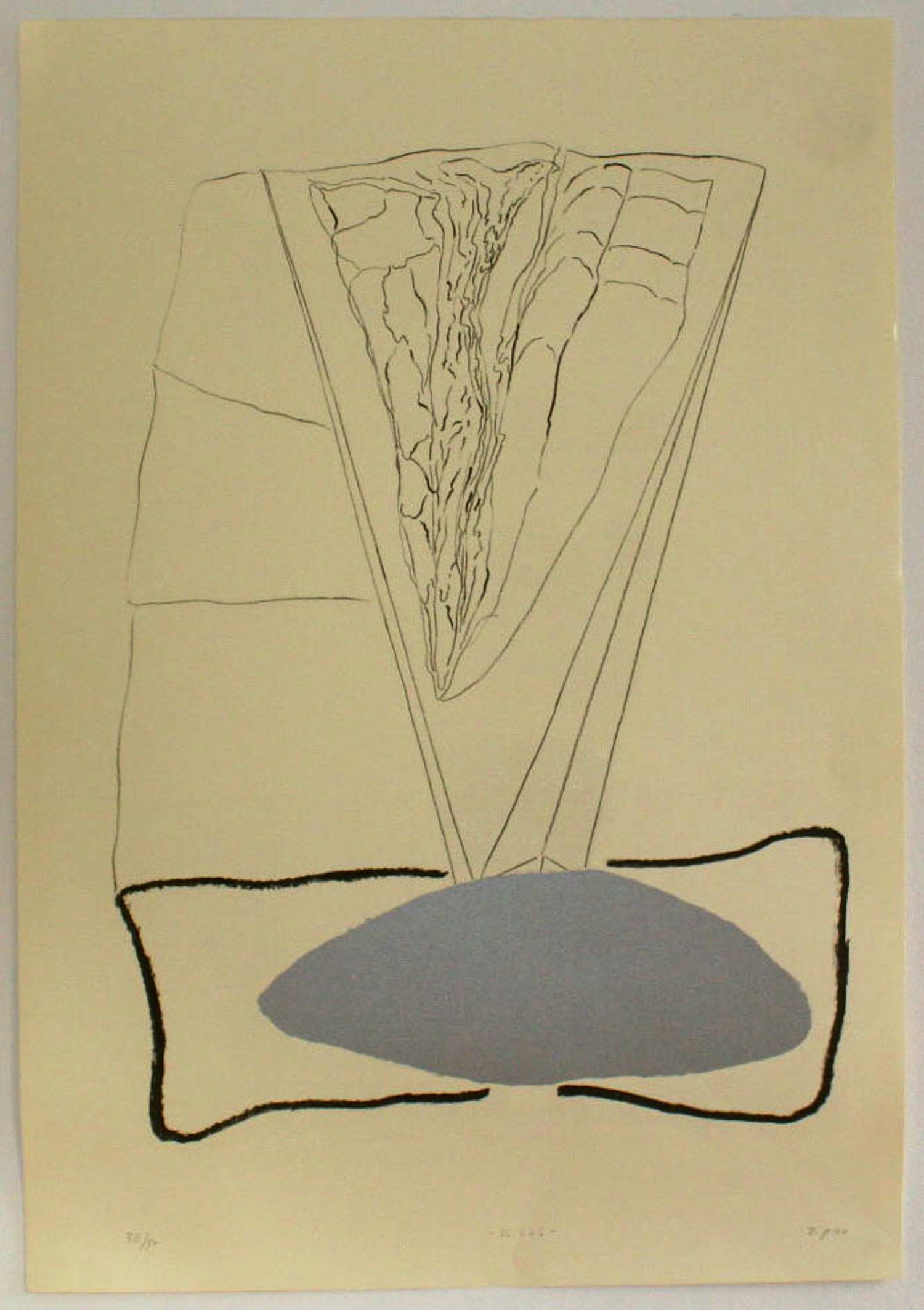 Zoltin Peeter - De val kopen? Bied vanaf 25!