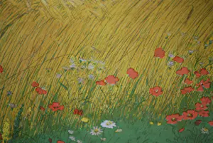 Hans Richard von VOLKMANN - Glooiend graanveld met klaprozen - zeer grote, ingelijste kleurenlitho uit 1901 kopen? Bied vanaf 75!