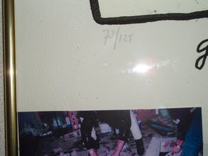 Herman Brood - Paddo s kopen? Bied vanaf 99!