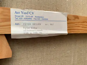 Peter Meijer - Tyto Alba - Olieverf op doek kopen? Bied vanaf 325!