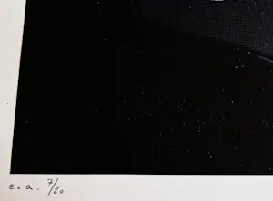 AcheterEmiel Hoorne - in zeer beperkte E.A. oplage gemaakte POP- ART Zeefdruk "Concorde meuniere"? Enchérissez de 49!