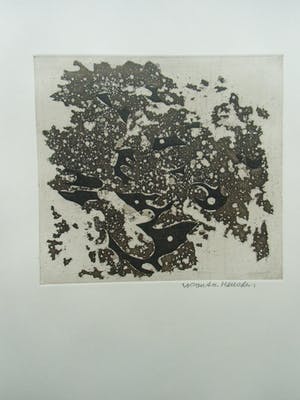 Wout van Heusden - titel: WRAK kopen? Bied vanaf 30!