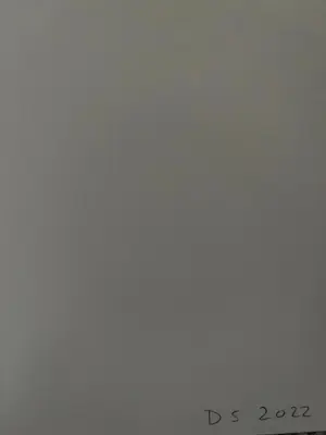 David Shrigley - Witness My Joy kopen? Bied vanaf 1900!