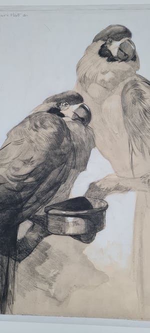 Adriaan van 't Hoff - Twee papegaaien op een tak - handgesigneerde tekening 1930 kopen? Bied vanaf 225!