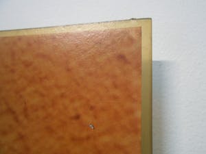 Carel Balth - Light Photowork: : Diptych 1978II. kopen? Bied vanaf 195!