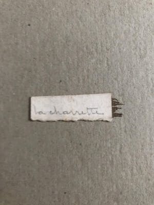 Niet of onleesbaar gesigneerd - Boerenkar kopen? Bied vanaf 1!