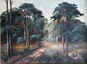 Adriaan Terhell - Boslandschap kopen? Bied vanaf 50!