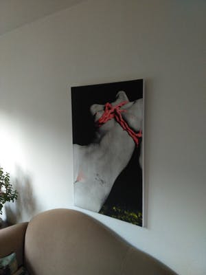 Niet of onleesbaar gesigneerd - Erotiek kopen? Bied vanaf 1!