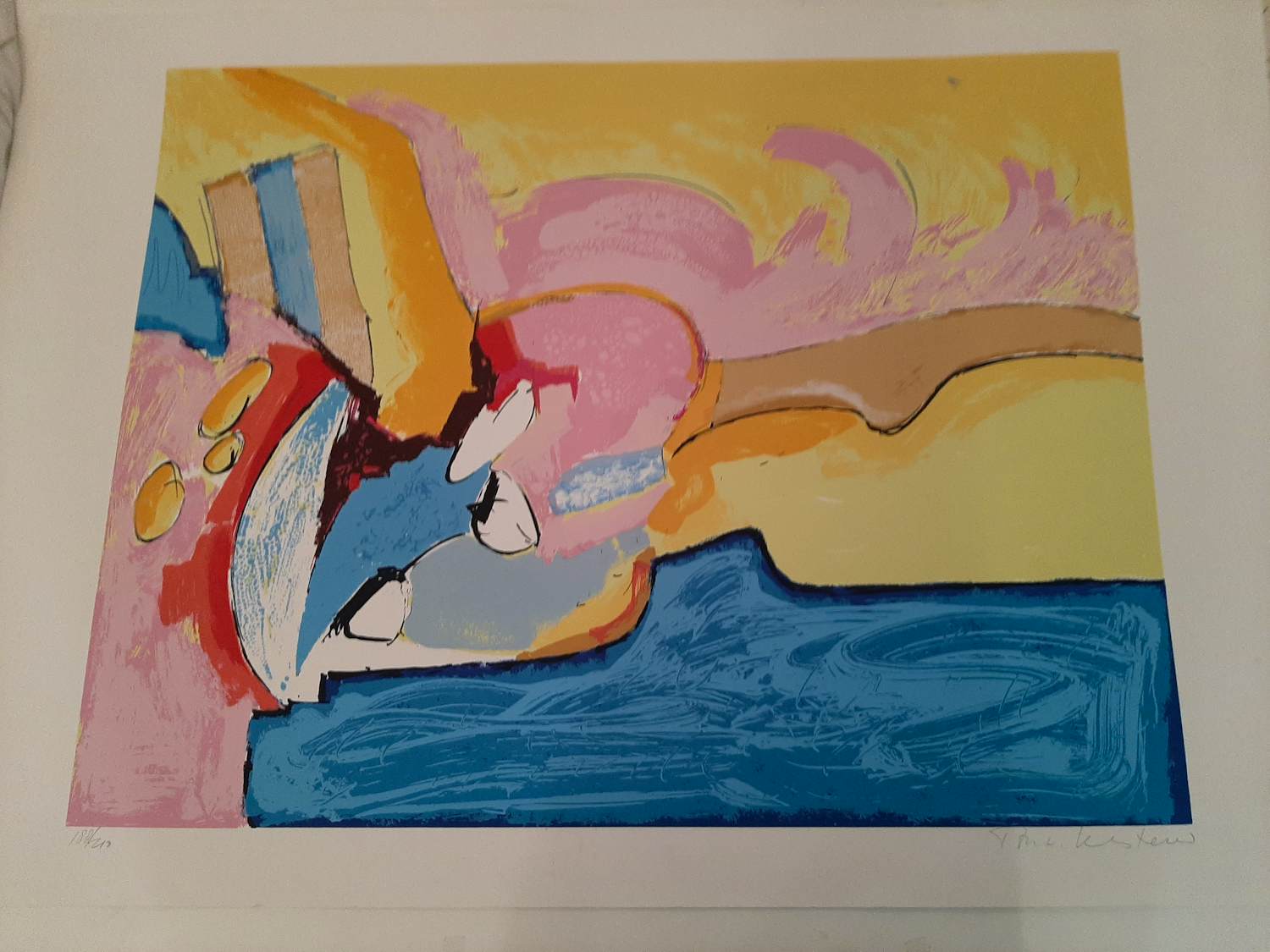 Ton van Kesteren - Prachtige kleurrijke grote zeefdruk verkocht voor € 35!