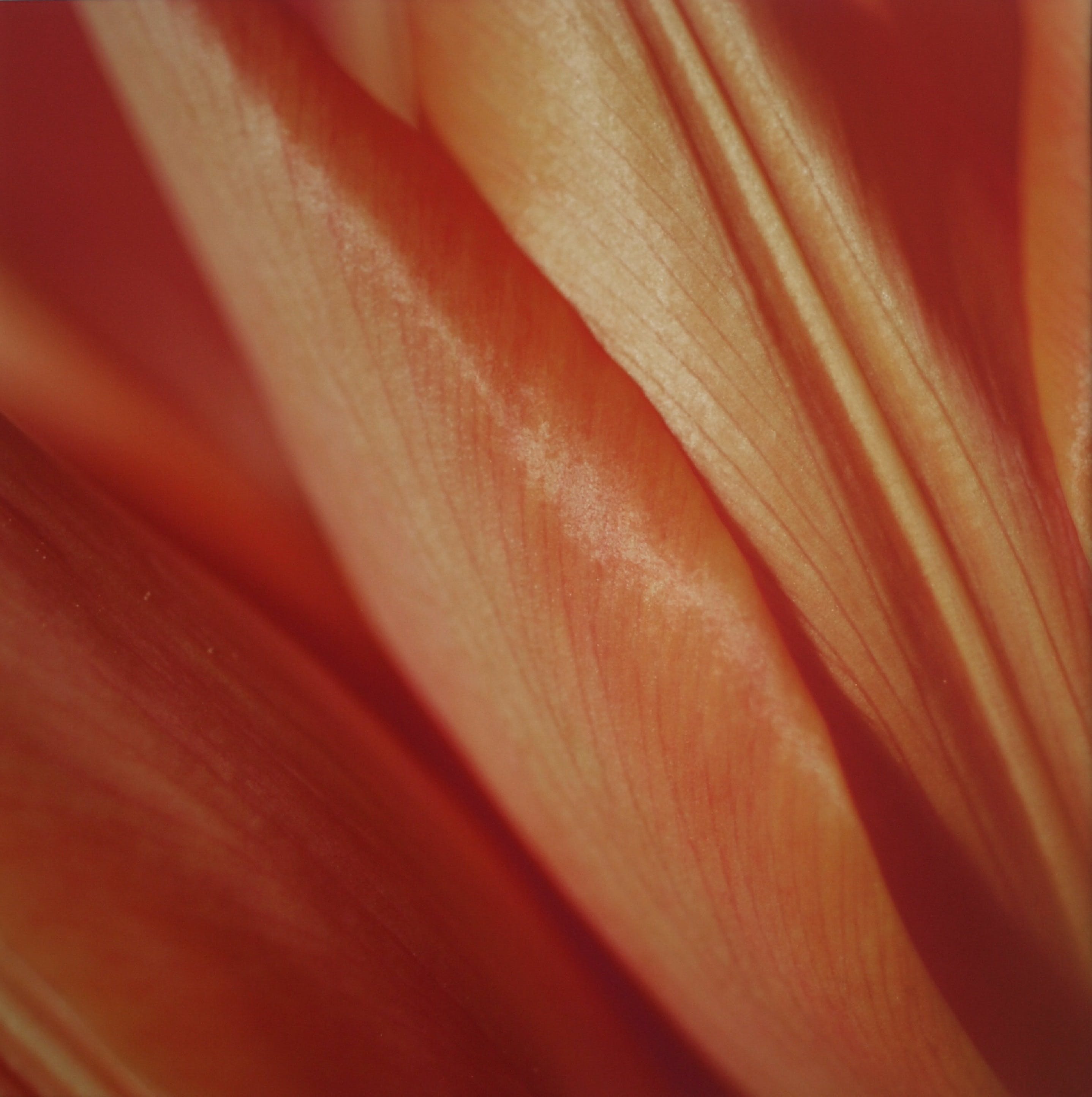 Niet of onleesbaar gesigneerd - Foto , Close-up – ingelijst kopen? Bied vanaf 1!