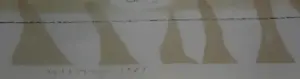 Co Westerik - Ingelijste zeefdruk: "een familie treffen" - 1986 kopen? Bied vanaf 100!
