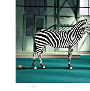 Mr Strange - De zebra's kopen? Bied vanaf 85!