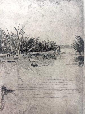 Gerard Lutz - Rietkraag bij Botshol - Ets, Ingelijst kopen? Bied vanaf 35!