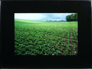 Paul Huf - Foto, Oogst - Ingelijst kopen? Bied vanaf 1!