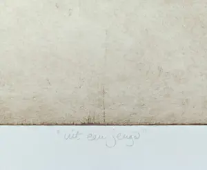 Ronald Tolman - Uit een jeugd, aquatint ets (groot, zeer kleine oplage) kopen? Bied vanaf 250!