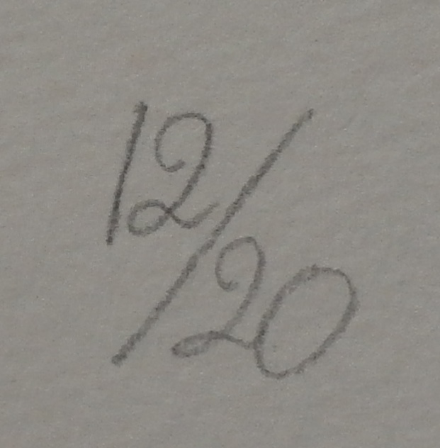 Peter Vos - zeer grote litho - 1967 kopen? Bied vanaf 195!