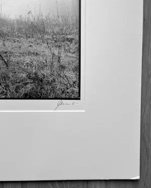 Ralph Janowski - Zonder titel kopen? Bied vanaf 30!